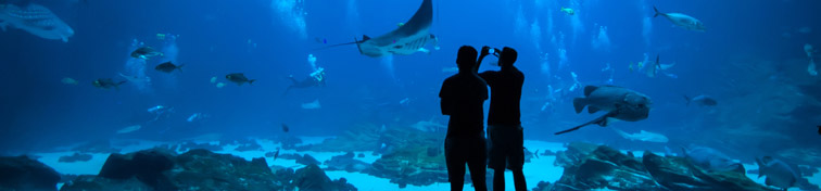 Interior of Georgia Aquarium with visitors