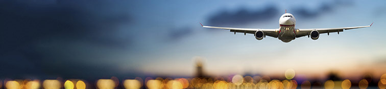 Plane in flight with bokeh background