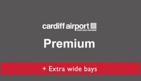 Cardiff Airport - Premium logo