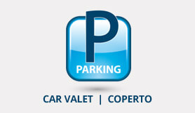 Rosas Car Service - Meet & Greet - Covered - Ancona