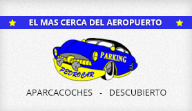 Parking Pedrocar - Recogida y Entrega - Descubierto - Malaga logo