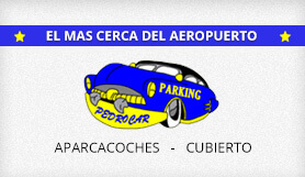 Parking Pedrocar - Recogida y Entrega - Cubierto - Malaga logo